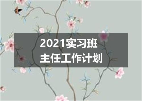 2021实习班主任工作计划