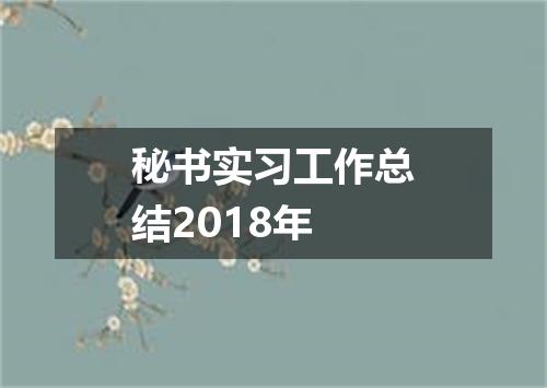 秘书实习工作总结2018年
