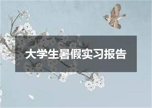 大学生暑假实习报告