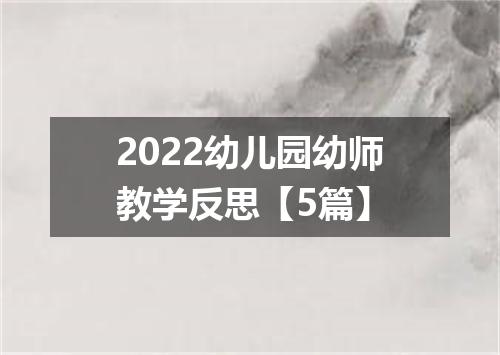 2022幼儿园幼师教学反思【5篇】