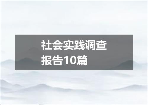 社会实践调查报告10篇