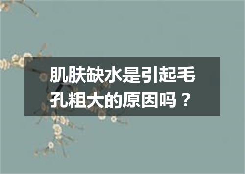 肌肤缺水是引起毛孔粗大的原因吗?