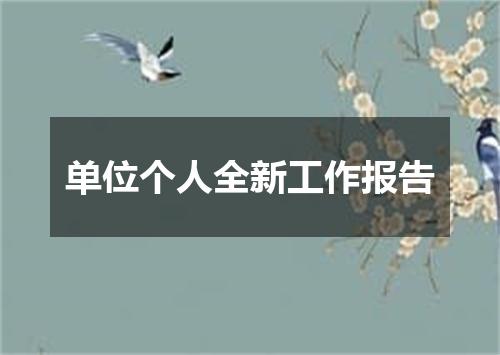 单位个人全新工作报告