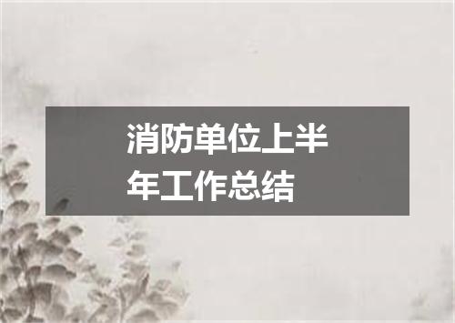 消防单位上半年工作总结