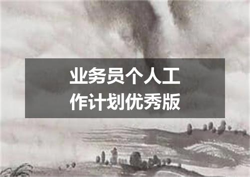 业务员个人工作计划优秀版