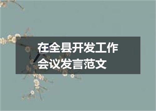 在全县开发工作会议发言范文