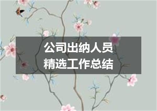 公司出纳人员精选工作总结