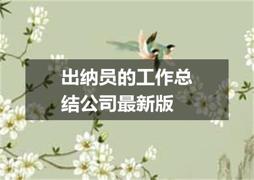 出纳员的工作总结公司最新版