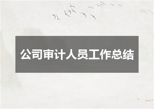 公司审计人员工作总结
