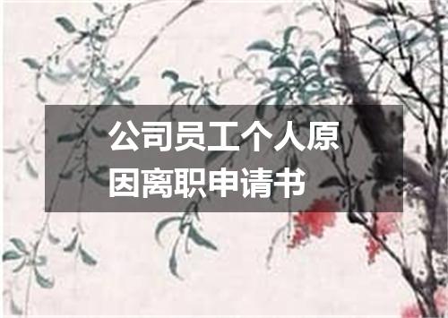 公司员工个人原因离职申请书