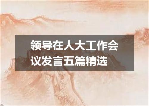 领导在人大工作会议发言五篇精选