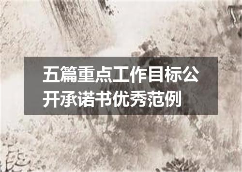 五篇重点工作目标公开承诺书优秀范例