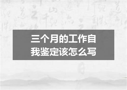 三个月的工作自我鉴定该怎么写