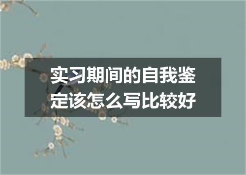实习期间的自我鉴定该怎么写比较好