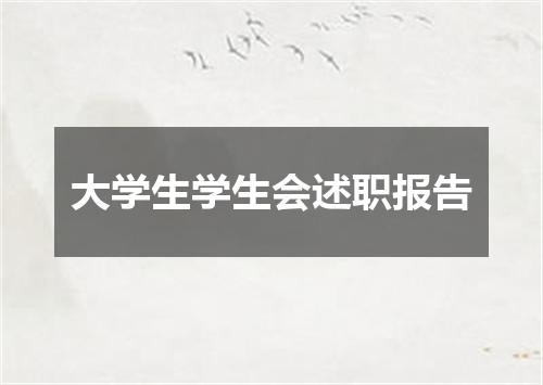大学生学生会述职报告