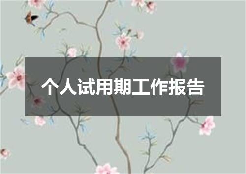 个人试用期工作报告