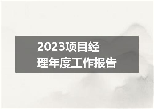 2023项目经理年度工作报告