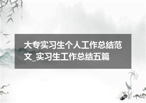 大专实习生个人工作总结范文_实习生工作总结五篇