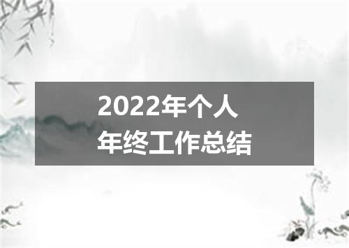 2022年个人年终工作总结