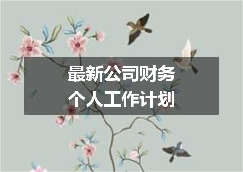 最新公司财务个人工作计划