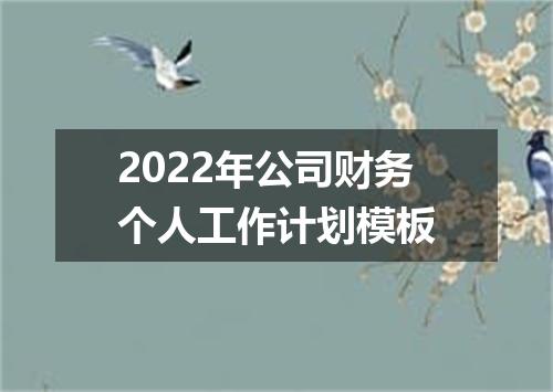 2022年公司财务个人工作计划模板