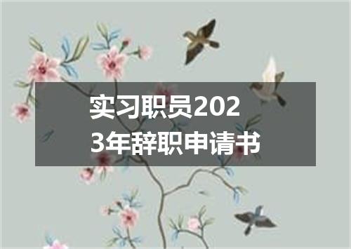 实习职员2023年辞职申请书