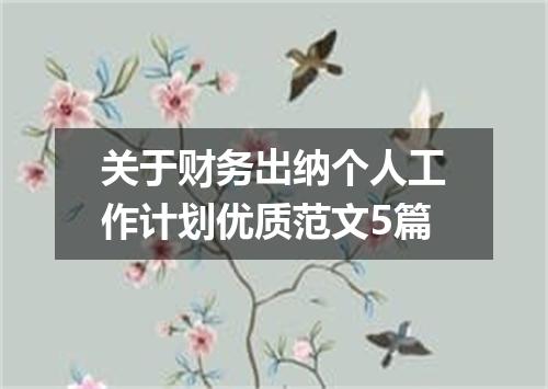 关于财务出纳个人工作计划优质范文5篇