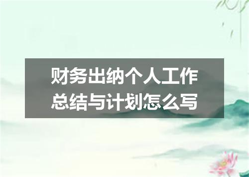 财务出纳个人工作总结与计划怎么写