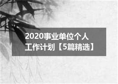 2020事业单位个人工作计划【5篇精选】