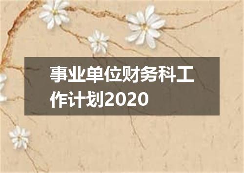 事业单位财务科工作计划2020