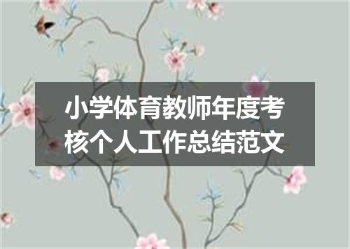 小学体育教师年度考核个人工作总结范文