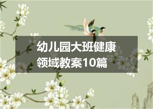 幼儿园大班健康领域教案10篇