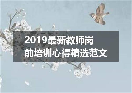 2019最新教师岗前培训心得精选范文
