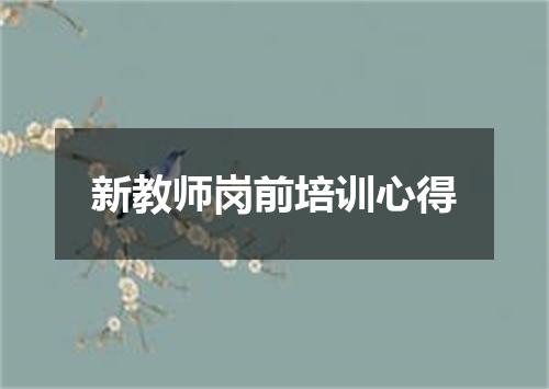 新教师岗前培训心得
