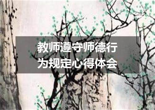 教师遵守师德行为规定心得体会