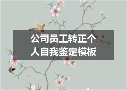 公司员工转正个人自我鉴定模板