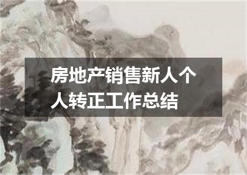 房地产销售新人个人转正工作总结
