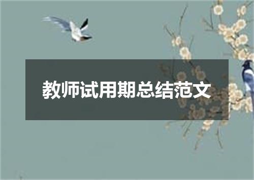 教师试用期总结范文