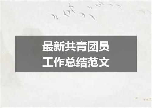 最新共青团员工作总结范文