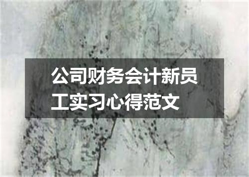 公司财务会计新员工实习心得范文