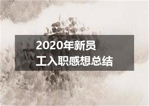 2020年新员工入职感想总结