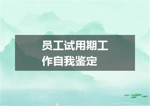 员工试用期工作自我鉴定