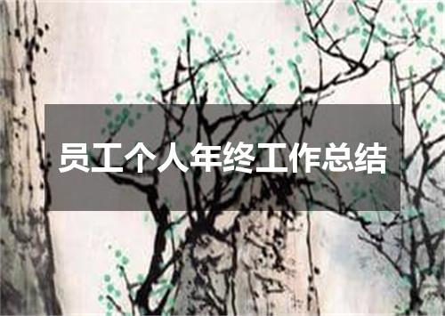 员工个人年终工作总结
