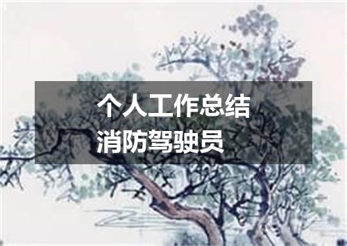 个人工作总结消防驾驶员