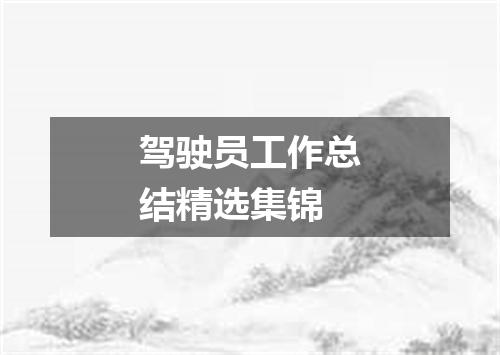 驾驶员工作总结精选集锦