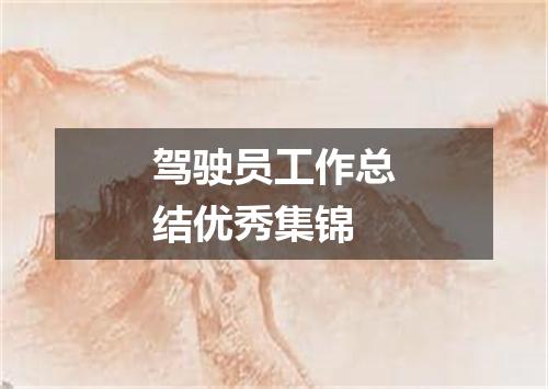 驾驶员工作总结优秀集锦