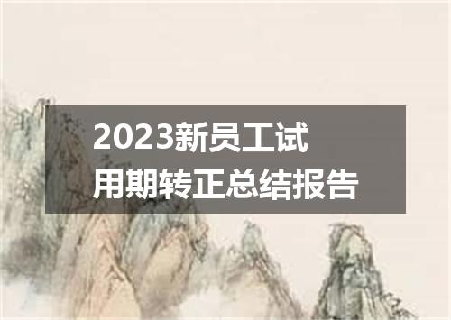 2023新员工试用期转正总结报告