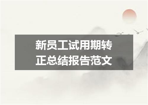 新员工试用期转正总结报告范文