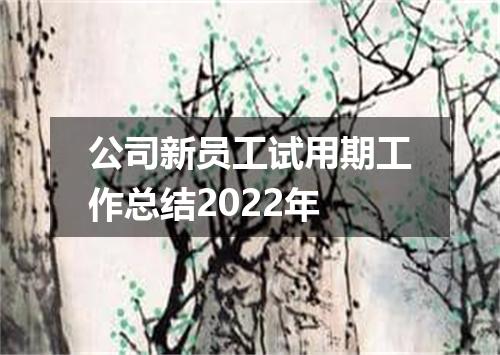 公司新员工试用期工作总结2022年