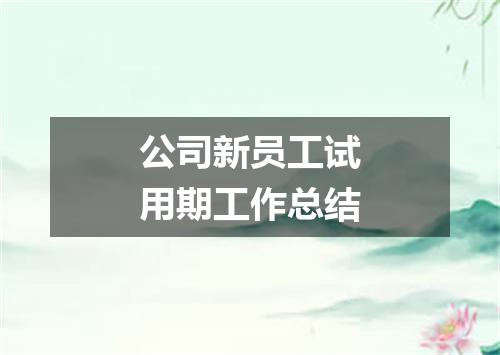 公司新员工试用期工作总结